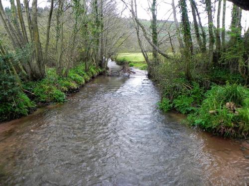 4.-Looking-upstream-from-Avill-Farm-ROW-Bridge-3176-2
