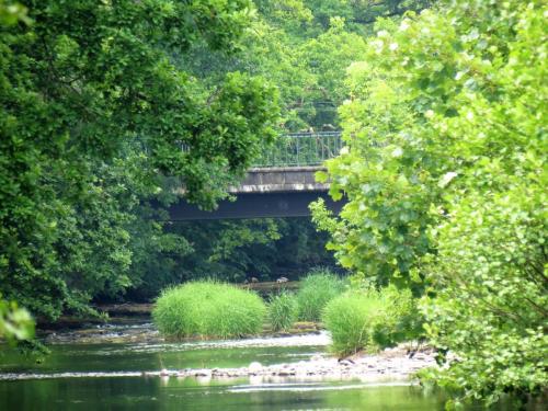 4.-Looking-upstream-to-Brushford-Bridge