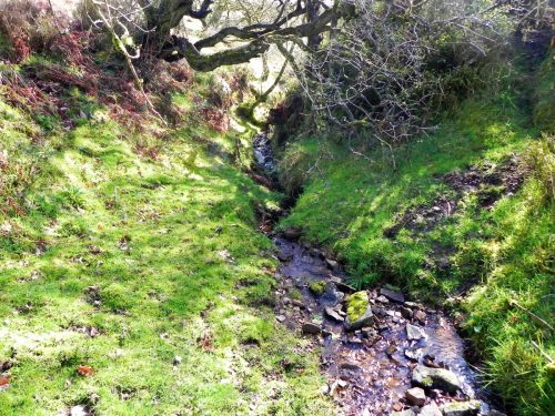 4.-The-early-stream-2 (1)