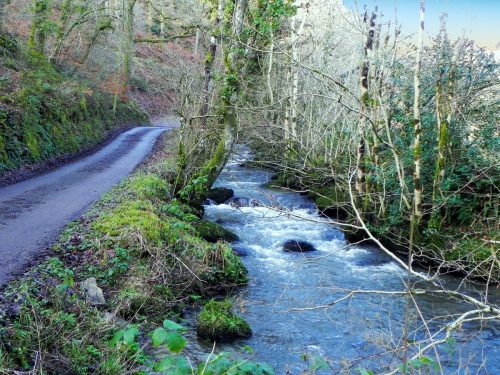 4.-Upstream-from-Confluence-with-River-Haddeo-2