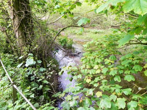 4.-Upstream-from-ROW-Bridge-2807-2