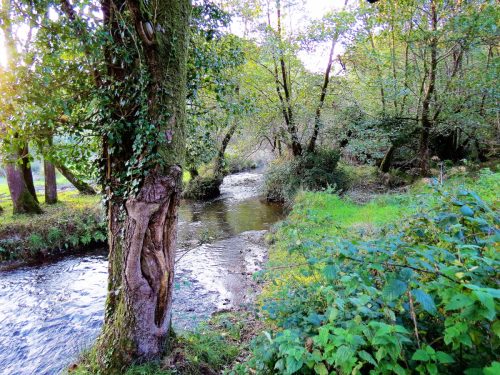4.-Upstream-from-ROW-Bridge-5117-6