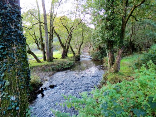 4.-Upstream-from-ROW-Bridge-5117-7