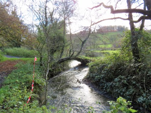 4.-Upstream-from-ROW-Bridge-5117-8