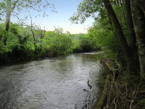 4.-Upstream-from-Weir-Bridge-1