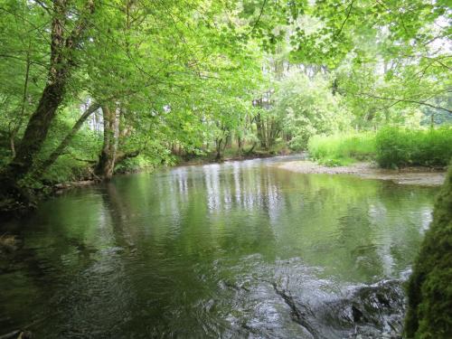 4.-Upstream-from-Weir-Bridge-11