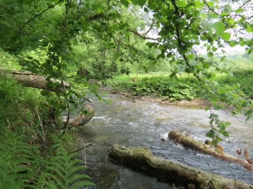 4.-Upstream-from-Weir-Bridge-13