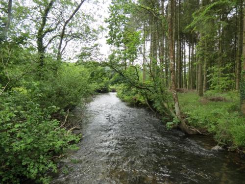 4.-Upstream-from-Weir-Bridge-3