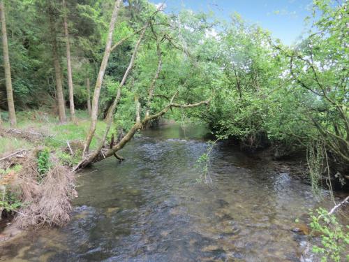 4.-Upstream-from-Weir-Bridge-4