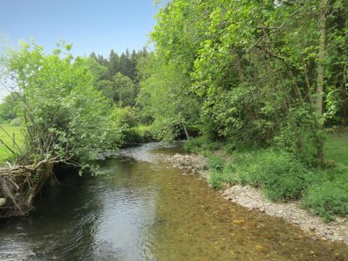 4.-Upstream-from-Weir-Bridge-5