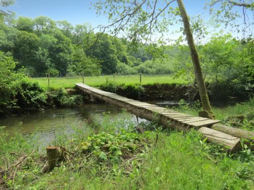 4.-Upstream-from-Weir-Bridge-6