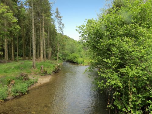 4.-Upstream-from-Weir-Bridge-7