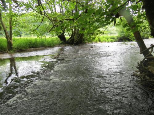 4.-Upstream-from-Weir-Bridge-8