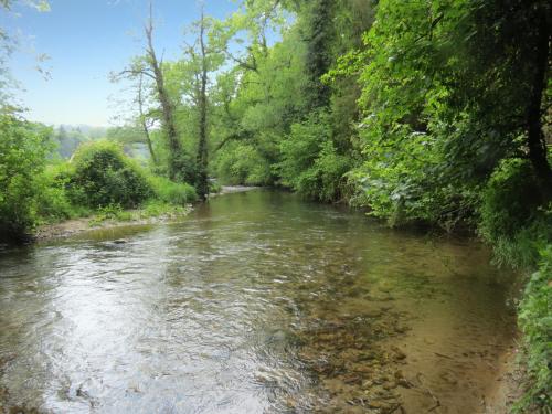 4.-Upstream-from-Weir-Bridge-9