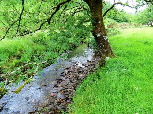4.-Upstream-from-Westermill-Farm-6