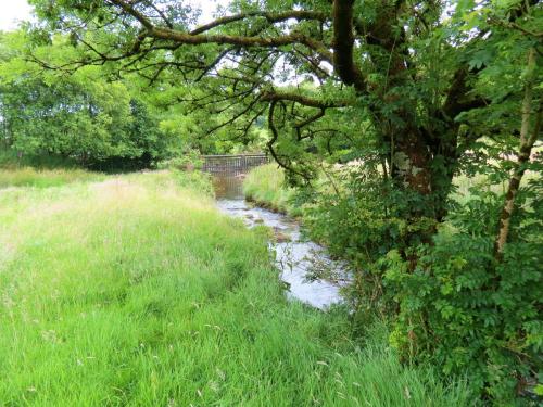 4.-Upstream-from-Westermill-Farm-8
