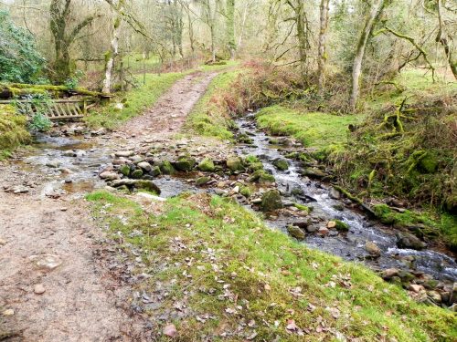 4.-Waters-join-from-Bin-Combe-2