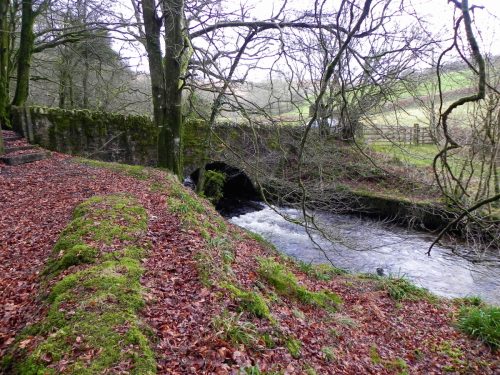 4.-West-Anstey-Bridge-Upstream-Arch-2