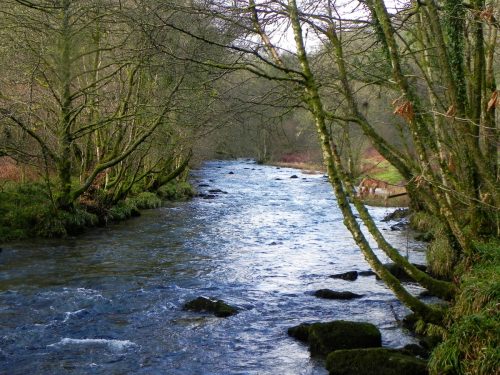 40.-Below-Knaplock-Wood-2