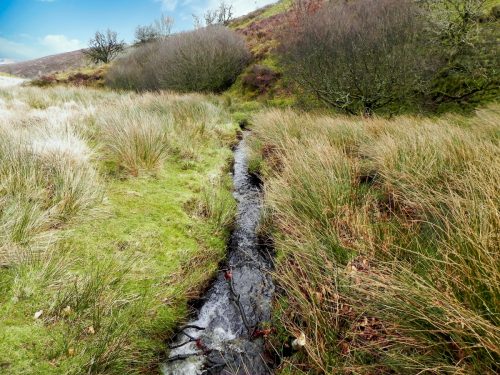 40.-Downstream-from-Chetsford-Bridge-2