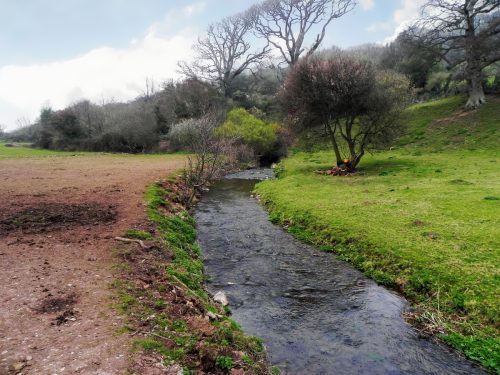 40.-Downstream-from-Lynch-Mead-Bridge-2