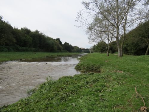40.-Downstream-from-Obridge-Viaduct-2