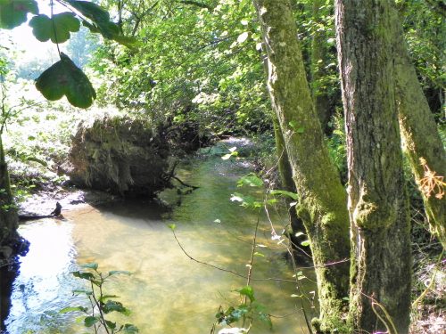 40.-Downstream-from-Tuck-Mill-2