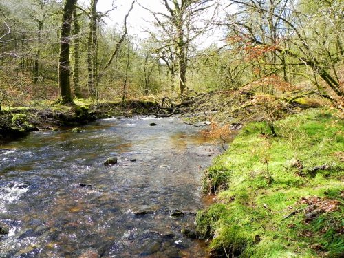 40.-Downstream-from-Venford-Bridge-2