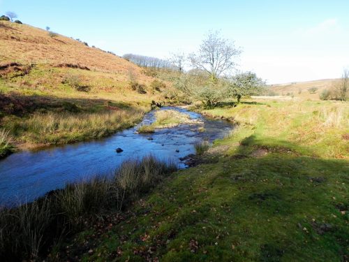 40.-Flowing-below-Furzehill-Common-2
