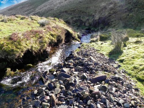 40.-Flowing-below-Hoccombe-Hill-2
