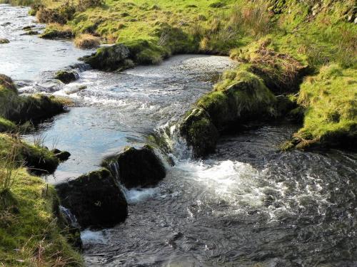 40.-Flowing-below-Stowey-Ridge-2