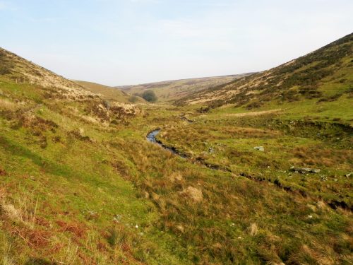 40.-Flowing-between-Hoar-Oak-Hill-and-Exe-Plain-2