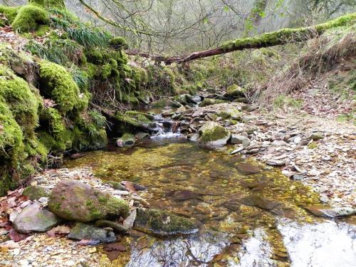 40.-Flowing-through-Mansley-Combe-2