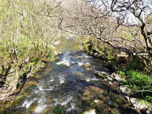 40.-Looking-downstream-from-Heddon-Mouth-Footbridge-2