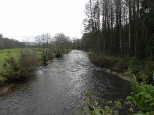 40.-Looking-downstream-from-New-Bridge
