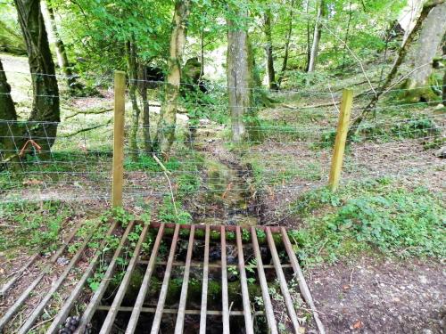 40.-Stream-joins-from-Sindercombe-Wood-2