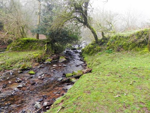 40.-Upstream-from-Aller-Combe-2
