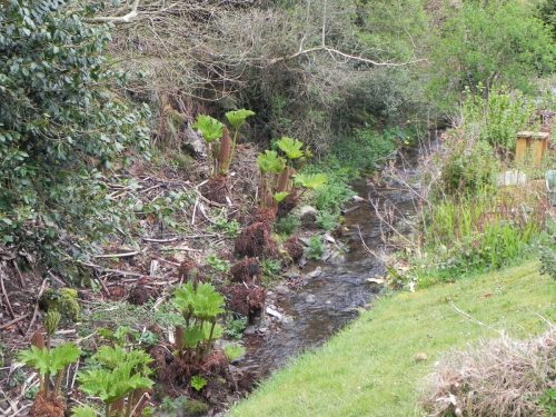 40.-Upstream-from-Hawkcombe-Mill