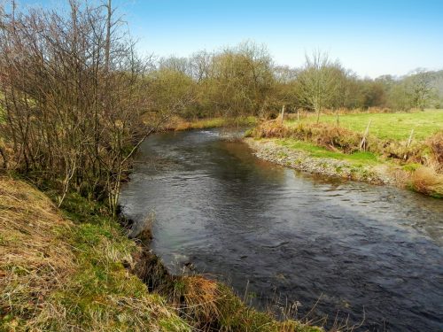 40.-Upstream-from-Knighton-Combe-2