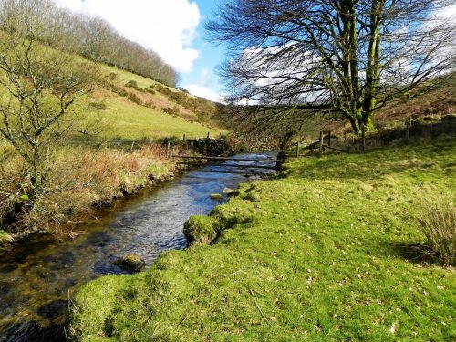 40.-Upstream-from-Sherdon-Cottage-2