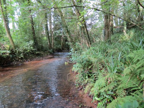 40.-Upstream-from-Tone-Viaduct