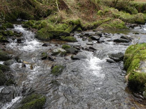 40.-Waters-from-Stoke-Combe-join-Horner-Water