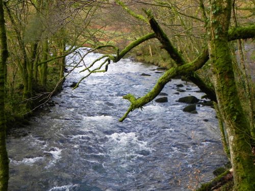 41.-Below-Knaplock-Wood-2