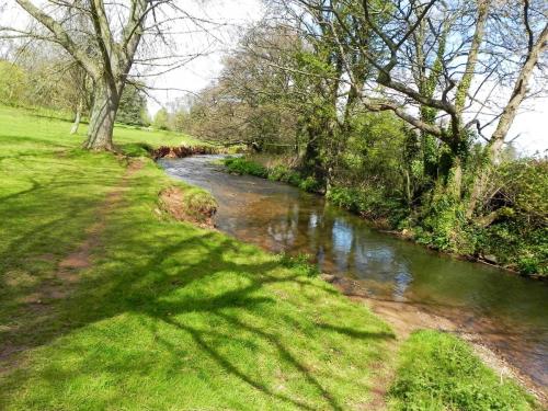 41.-Downstream-from-Dunster-Castle-Weir-2
