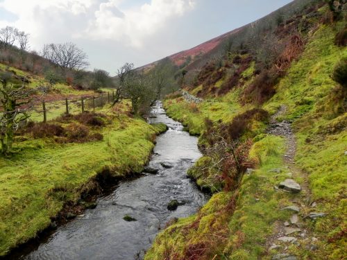 41.-Downstream-from-Freds-Path-Footbridge-2