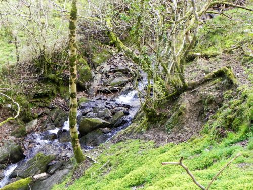 41.-Downstream-from-Holworthy-Ford-2