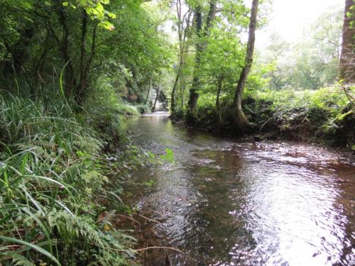 41.-Downstream-from-Tone-Viaduct