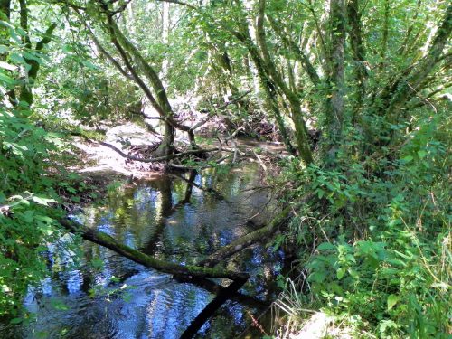 41.-Downstream-from-Tuck-Mill-2