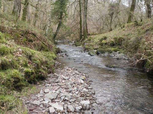 41.-Downstream-from-from-Stoke-Combe