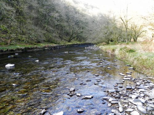 41.-Flowing-Past-Great-Birchcleeve-Wood-2